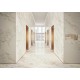 CALACATTA GOLD CONTINUOUS VEINING | Marble Experience