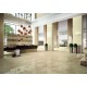 BRONZE PULPIS | Beige Exper. Living